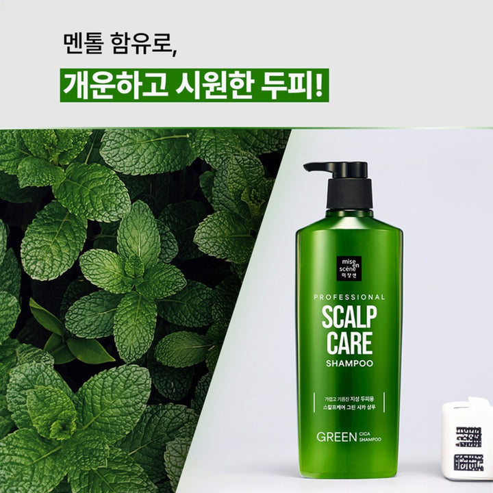 스칼프케어 그린시카 샴프
